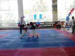 • 8-й открытый турнир по Кудо 1.06.13 г.