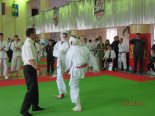 ● Открытый турнир по Дзендо в г. Буинске 17.04.11