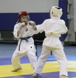 • Открытый Кубок России по Дзендо 8.04.12