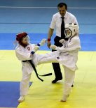• Открытый Кубок России по Дзендо 8.04.12