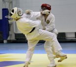 • Открытый Кубок России по Дзендо 8.04.12