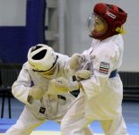 • Открытый Кубок России по Дзендо 8.04.12
